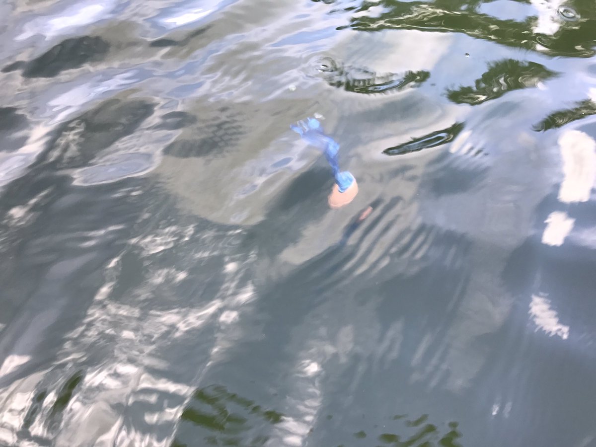 h2oplantsUK's tweet photo. @otterbine_H2O airflo3 241 being constructed this morning for a customer in #WoolmerGreen #Herts #diffusedaeration https://t.co/iSobTztDY4 https://t.co/eJxEQ4IIKo