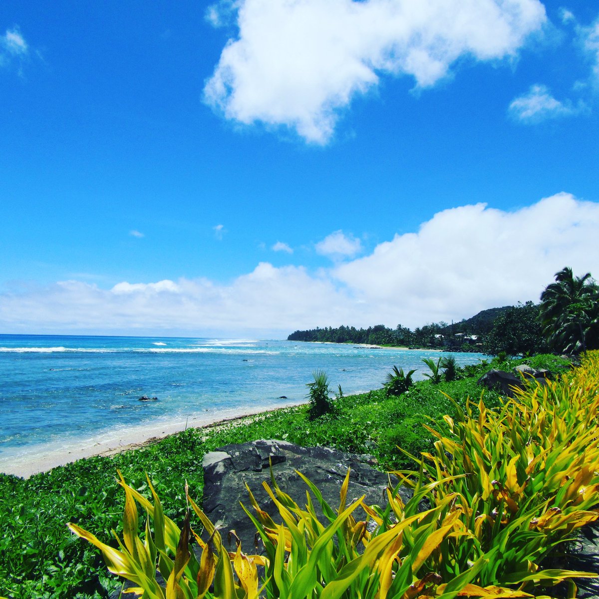 LuckAdventurer's tweet photo. Happy Saturday! #beach #sky #clouds #ocean #water #rarotonga #cookislands #thecookislands #southpacific #vacation #holiday #trip https://t.co/cw7IPrvScd
