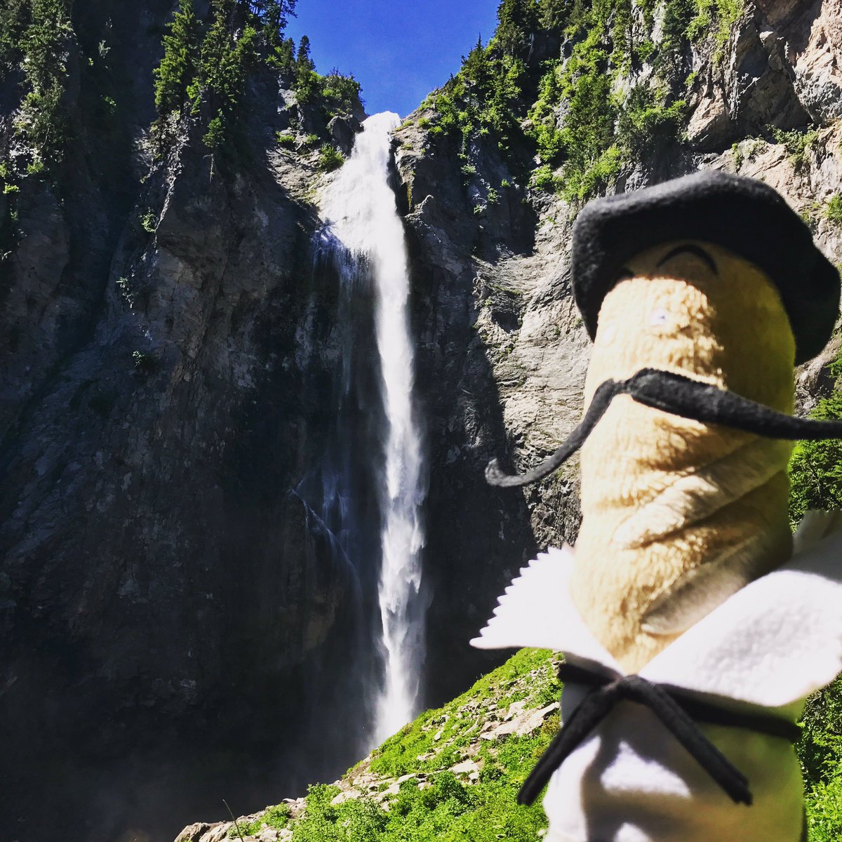bread_tweets's tweet photo. At 380' high, Comet Falls is the best in #MtRainier #NationalPark!  Leave your comets below 👇🏻 #dadjokes #jacquesinasmock #explore https://t.co/h2v5aKH47w