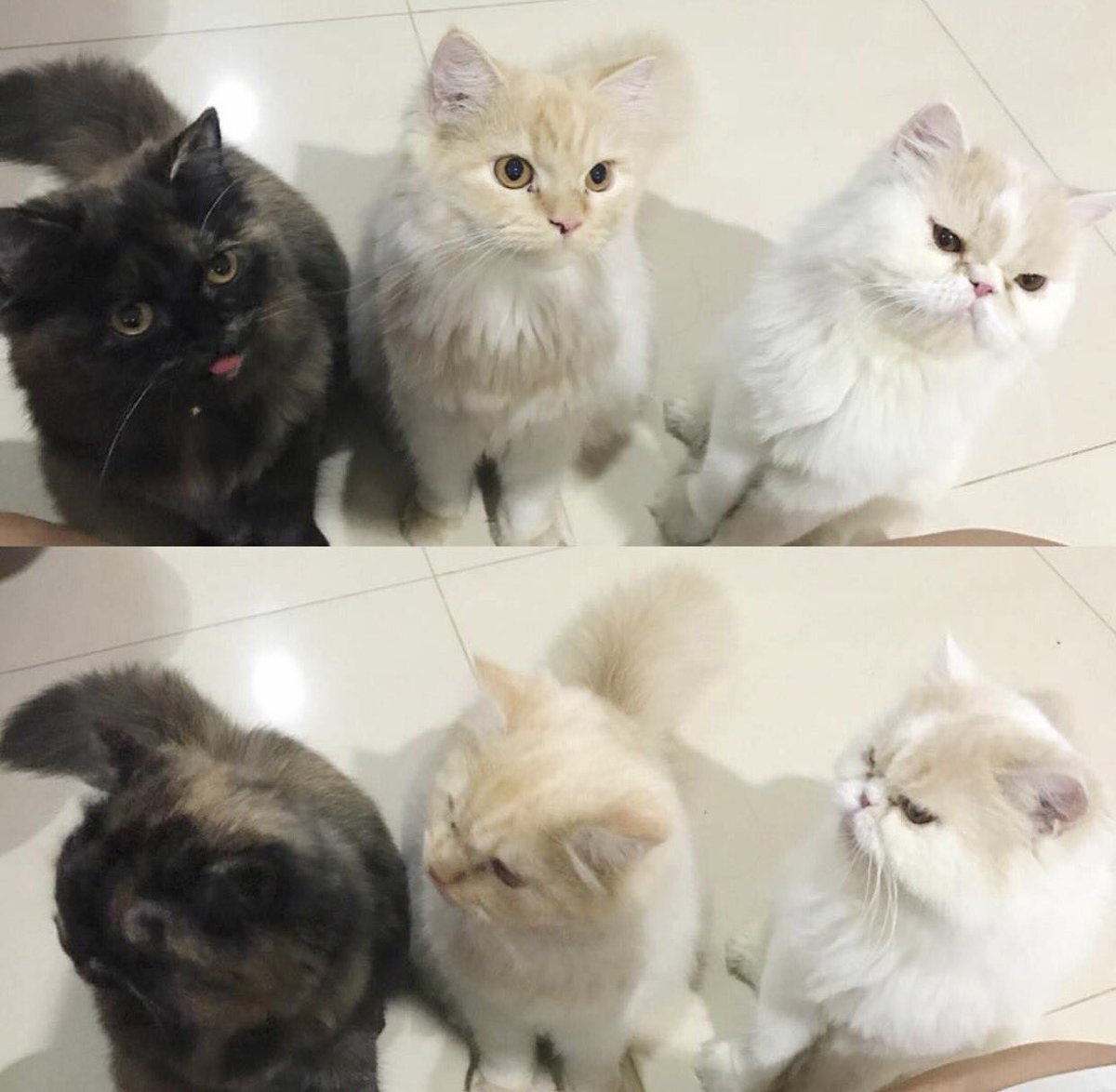 onlyunn's tweet photo. รักมาก💘 https://t.co/uvxUI2hrqP