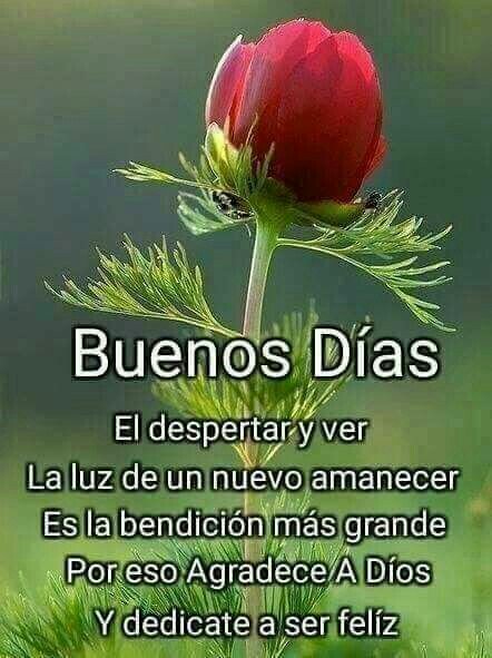 maria28rodry's tweet photo. Buenos Días ! Feliz sábado  !!! https://t.co/DfoSmhJhq9
