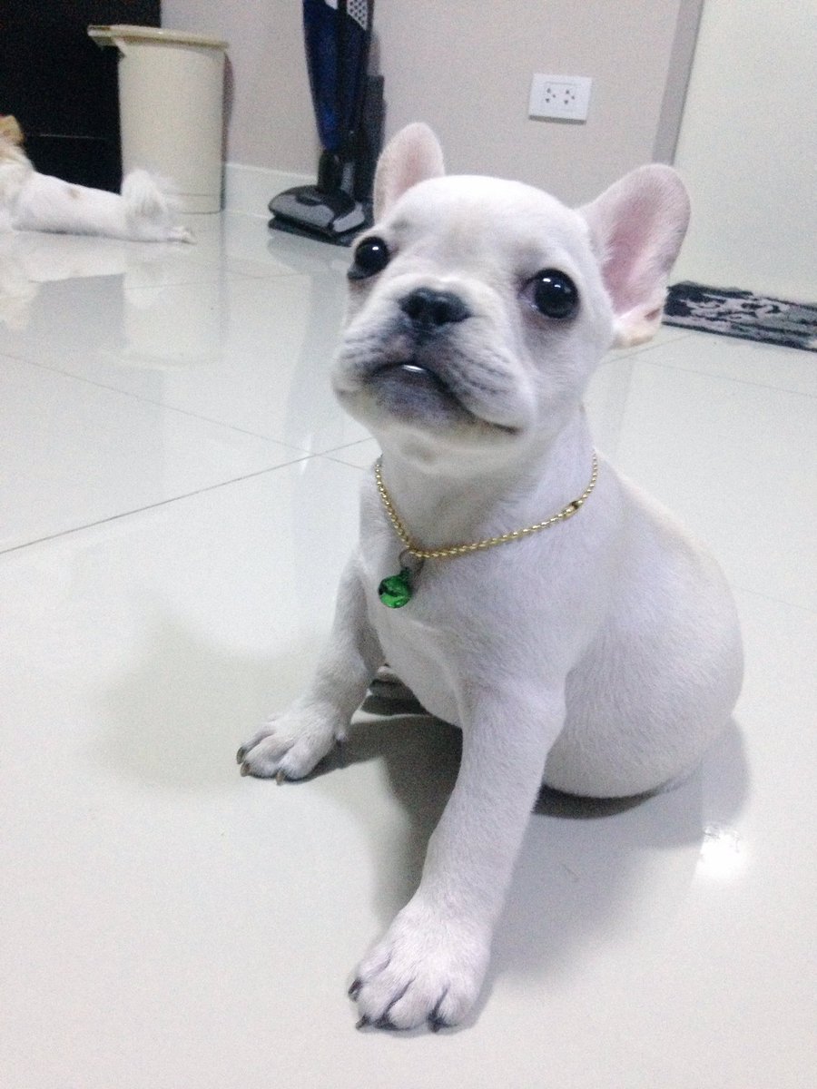 supichasri's tweet photo. ชวินไม่เล่นนะ ดูหน้าด้วย https://t.co/Fi1VeJKOPI