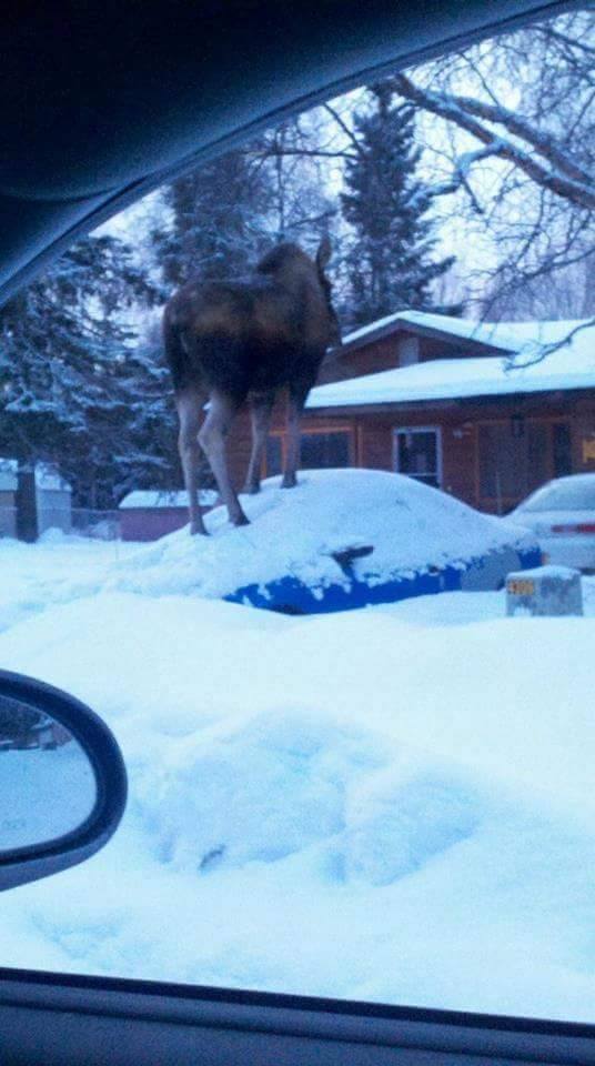 Crossbow Productions tweet media