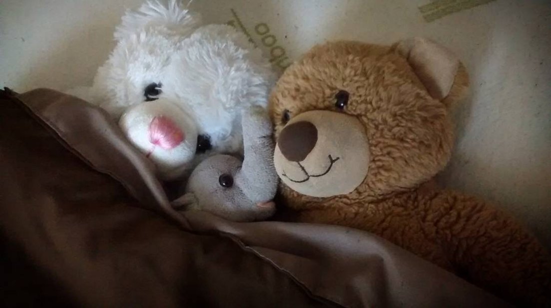 Cuddles and Friends (@MstrChf_Cuddles) / Posts / X