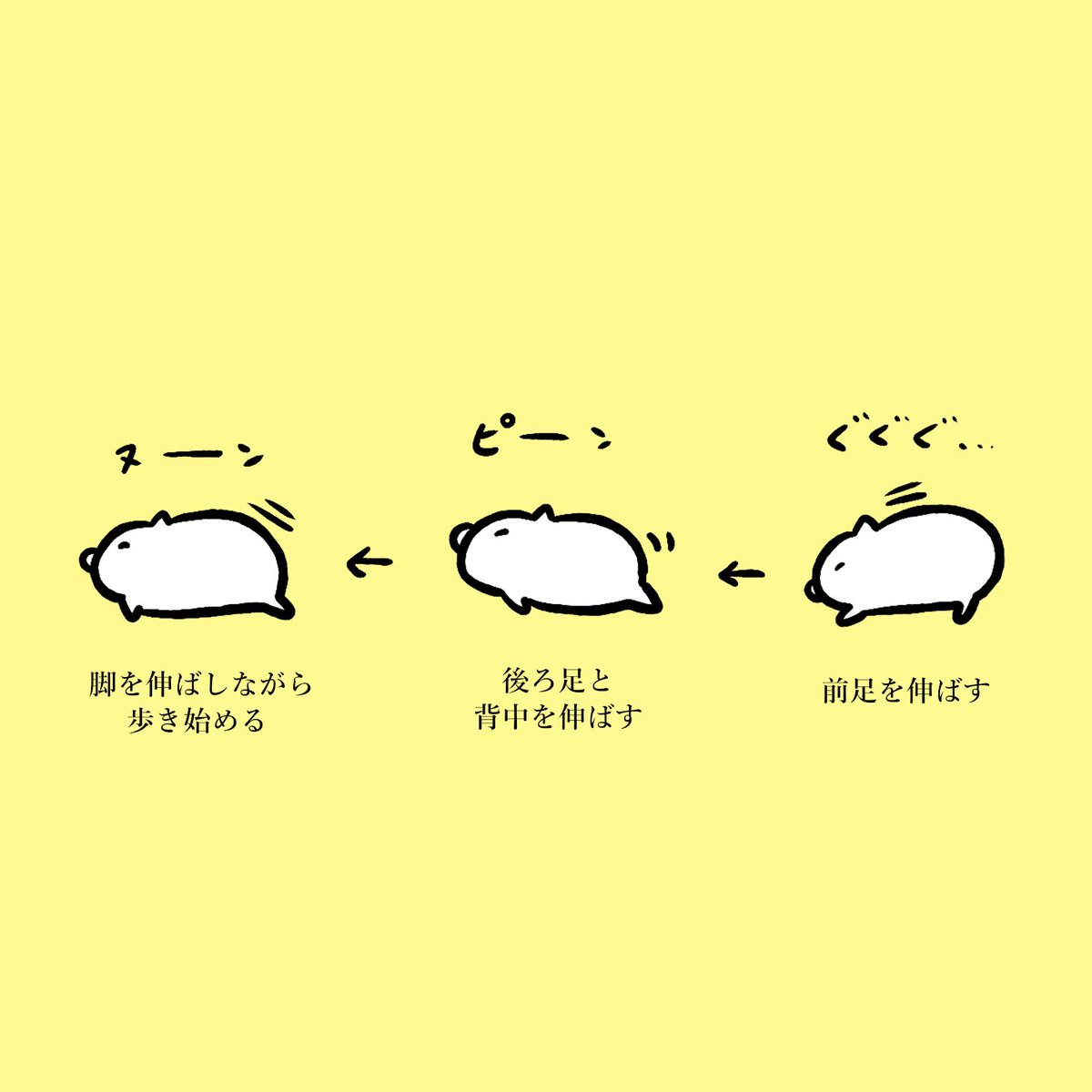 Study 反省 Pa Twitter コロニャンが伸びをする