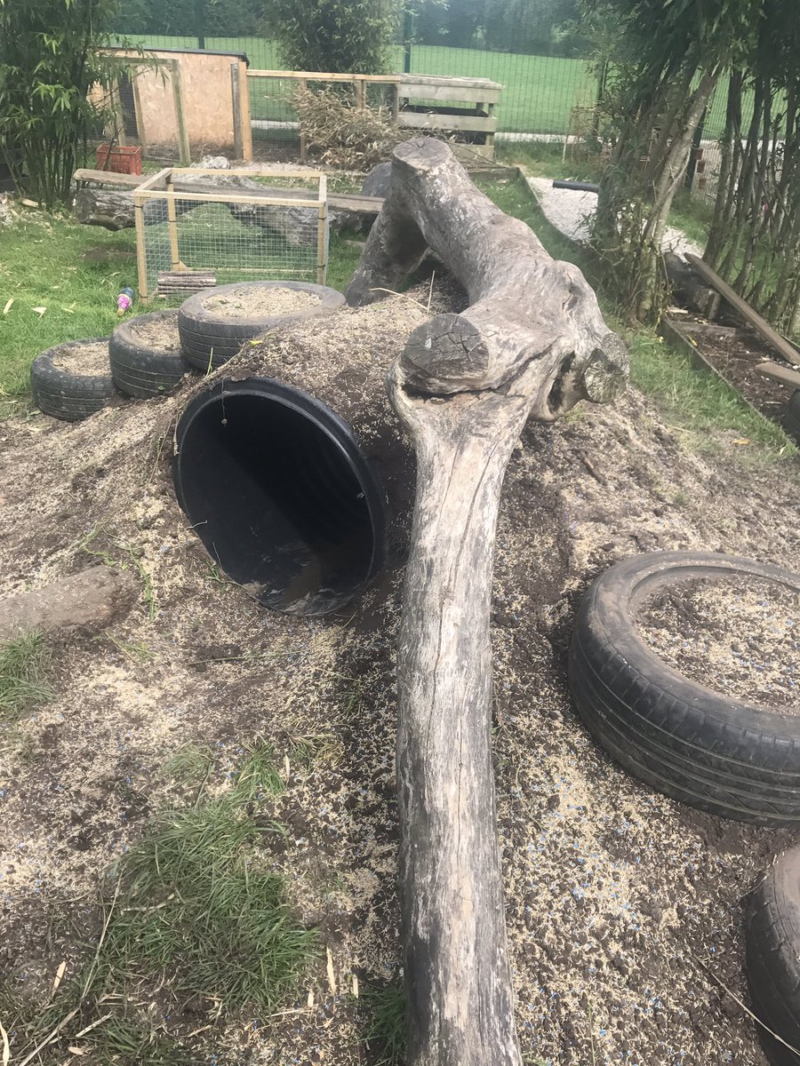 MrsLittBPS's tweet photo. @RecBPS New addition to our outdoor classroom. Still work in progress ๐ง๐ #eytalking #enoughforoneday @BlackrodPSch https://t.co/9iGCqhNE2v