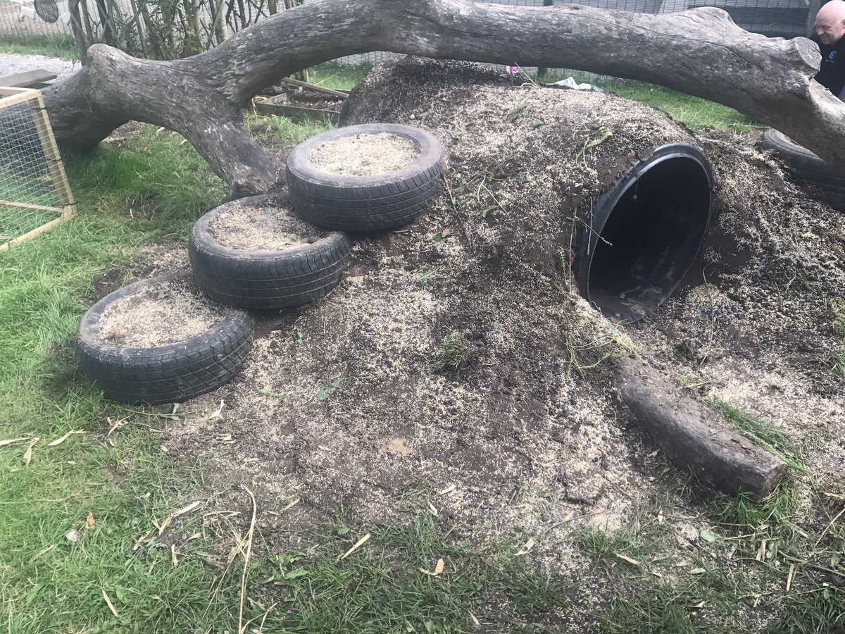 MrsLittBPS's tweet photo. @RecBPS New addition to our outdoor classroom. Still work in progress ๐ง๐ #eytalking #enoughforoneday @BlackrodPSch https://t.co/9iGCqhNE2v