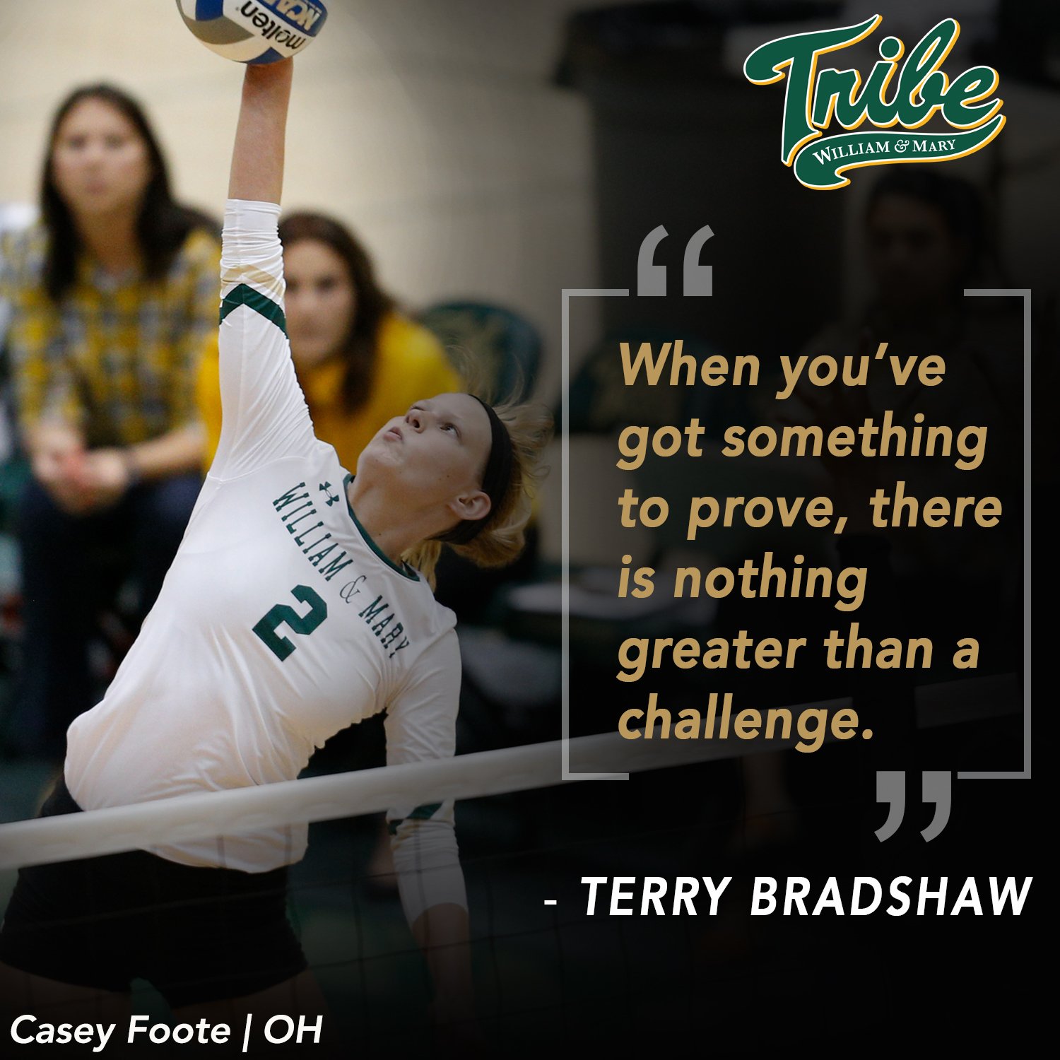 Volleyball Setter Quotes Sayings