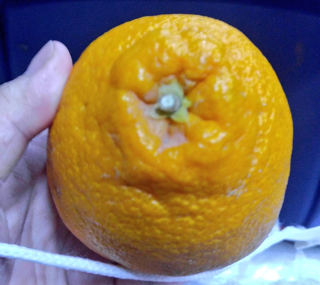 #신과함께 #막공_염라봉 #던졌다_받았다 !!!!!!!!!!!