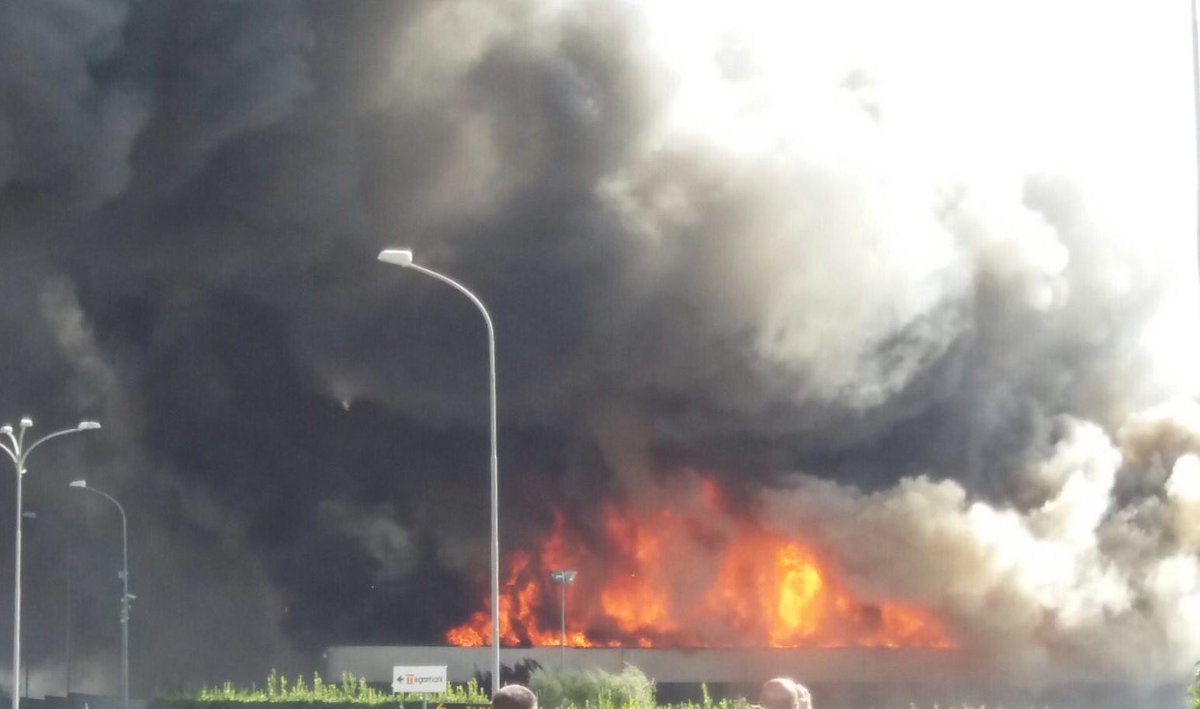 Titty Colicchio tweet media