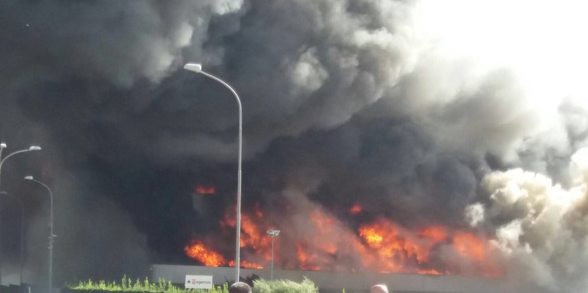 Titty Colicchio tweet media