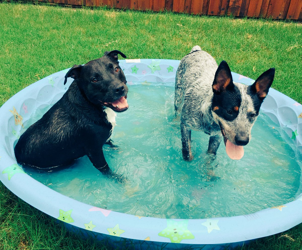 jstibbs23's tweet photo. Summer ☀️ https://t.co/QLA6gmsOQ0