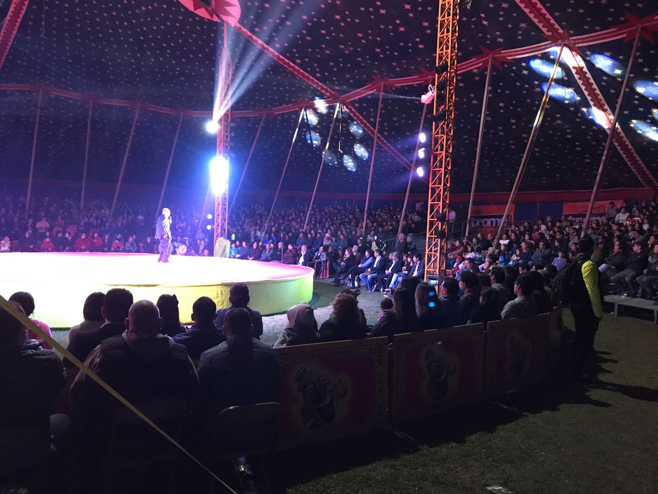 Resultado de imagem para edgar vivar peru circo