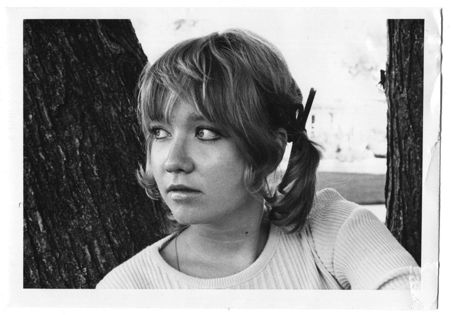 Happy Birthday, S.E. Hinton! | Sarah Hicks, ALA Intellectual Freedom Blog  