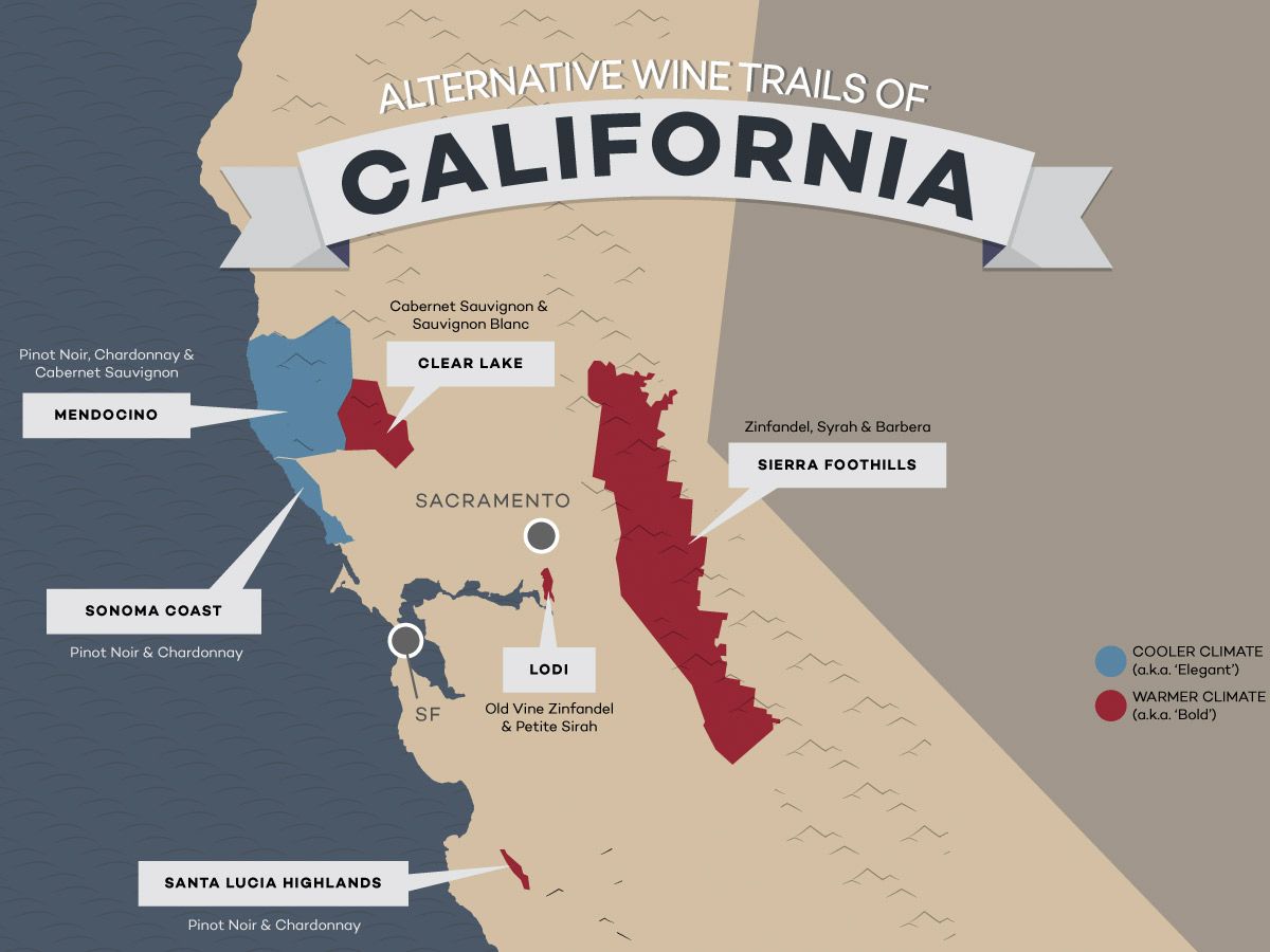 Wine Folly tweet media