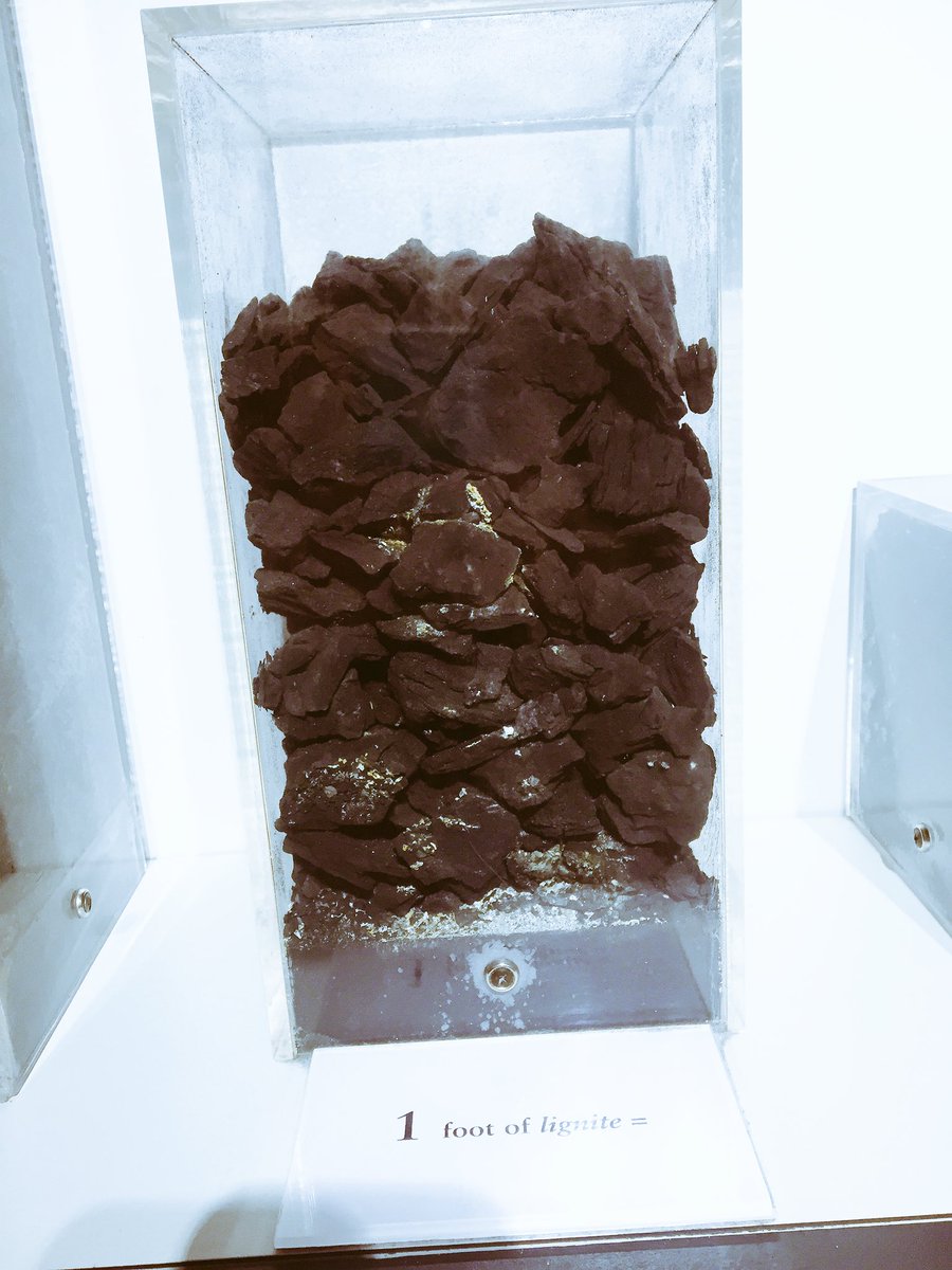 SusanRobichaud's tweet photo. @realDonaldTrump I found your coal, you can stop looking now. It's in museum like all the other outdated stuff https://t.co/opNYvwPQDF
