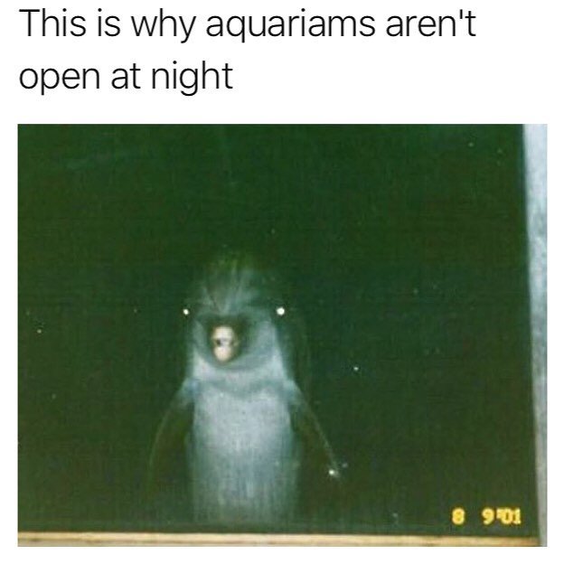 MensHumor's tweet photo. What nightmares are made of https://t.co/n6ikVo8VZm