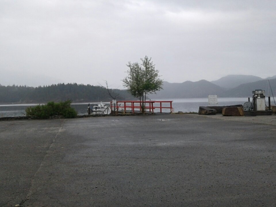 MistickFarm's tweet image. Good morning world