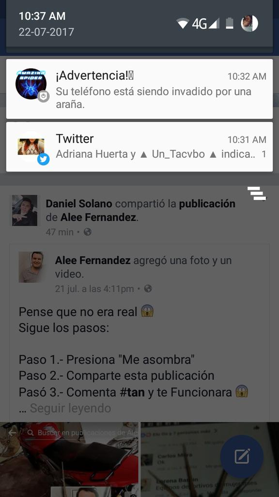 Frutsi_DeMango's tweet photo. Ya hasta las arañas me invaden 😢😩😩 https://t.co/7luqS27iOJ