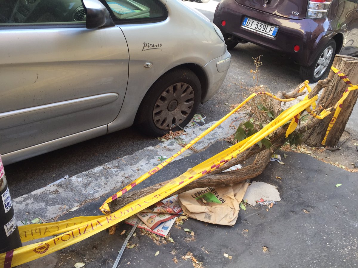Fajelamulta's tweet photo. #romazozza dalla quantità di monnezza accumulata si può dedurre da quanto tempo quest'opera d'arte è li tra #ama e #vigili https://t.co/GIQmta3Jgp