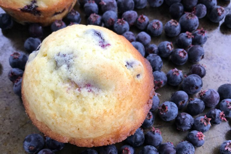 Merry120's tweet photo. You have to try these scrumptious muffins with either Saskatoons or blueberries! https://t.co/guQG2wBAq4 #Recipe #foodblogger #fbciger https://t.co/Aizs4y0RYl
