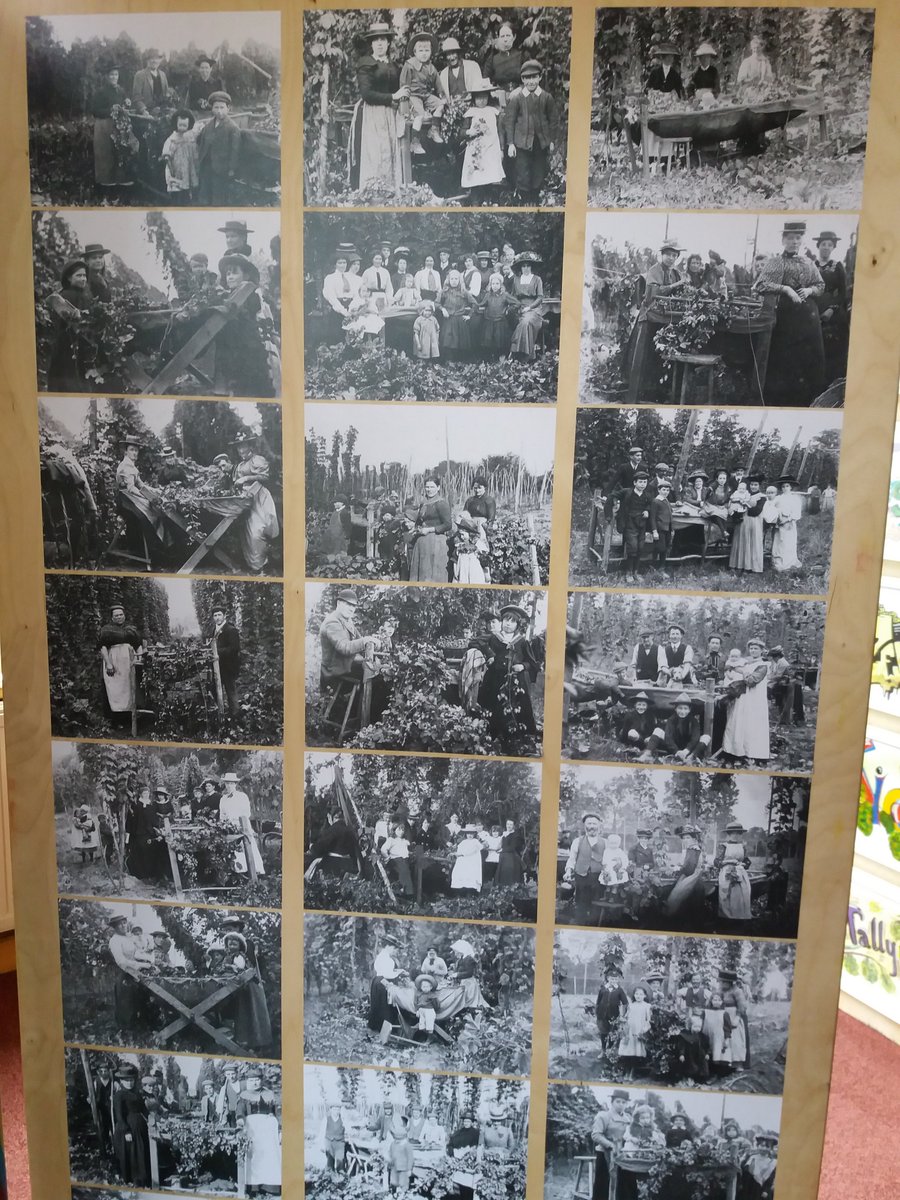 GaryFord01's tweet photo. Not my work area at the NFU but proud to promote the heritage of hop growing in Worcestershire &amp; Herefordshire https://t.co/p2s1c3D9E2 #hops https://t.co/NHjhnNQVQD