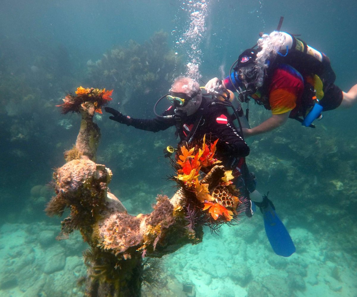 diveheart's tweet image. Want the REAL Story behind the Christ Statue in Key Largo??? This front page Miami Herald Story reveals the truth!
diveheart.org/gabes-story-un…