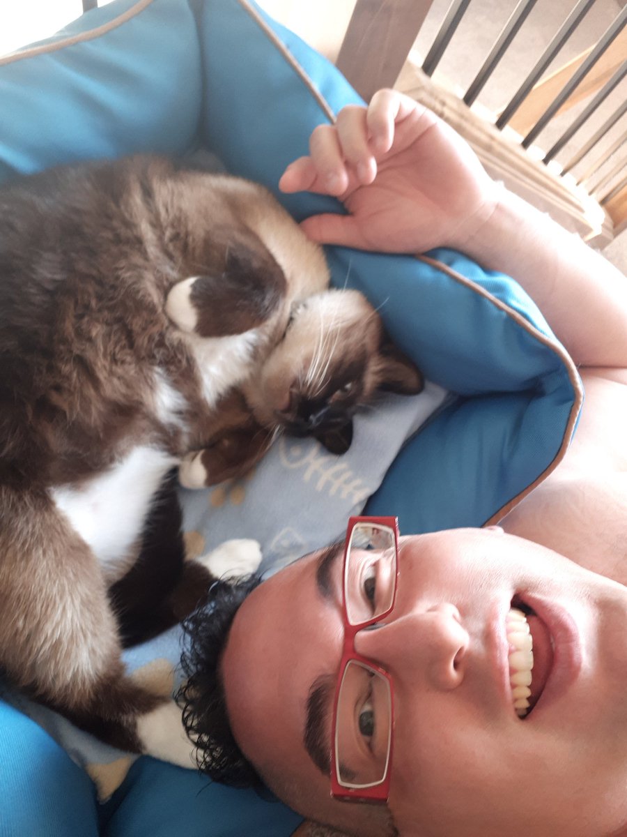 deadpetland's tweet photo. Morning hang out with my wingman @MuddyBuddy186 #SnapchatMeDemKitties https://t.co/QHIqaIxWV1