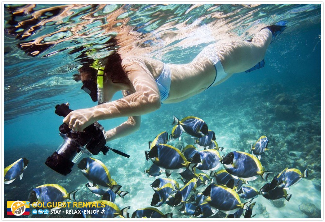 ColguestRentals's tweet photo. Llame hoy  y con mucho gusto les organizaremos un viaje responsable y sustentable a #SantaMarta.  +57 (301) 528.4705 | 1 (780) 218.4730. https://t.co/x4herGfM4P