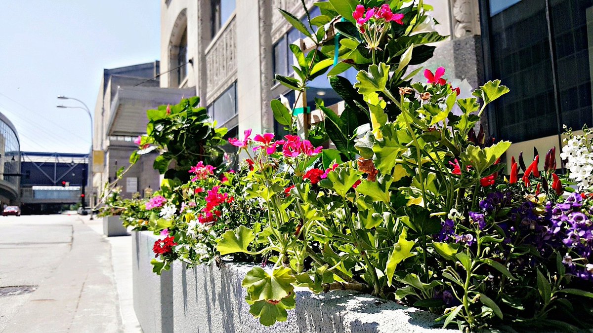 PandLBuilding's tweet photo. Bringing a little color downtown! #luxurylivingkc #kcmo #npd https://t.co/jn0HqqLM1g