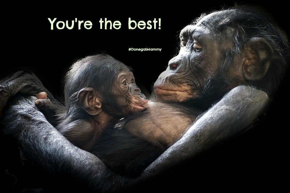 Hope you having a great day #DonegalMammy and #MakingMemories <a href="/dglwoman/">Donegal Woman</a> <a href="/DonegalHour/">Donegal Hour</a> <a href="/DonegalETB/">Donegal ETB</a> <a href="/Errigal_Hostel/">Errigal Hostel</a>  <a href="/Oakfield_Park/">Oakfield Park</a>