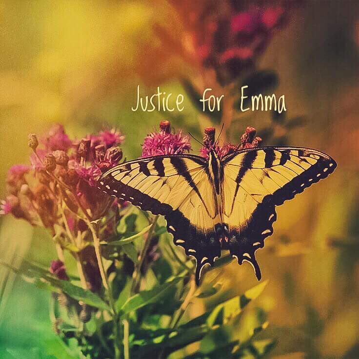 TheoTheBoston's tweet photo. #JusticeforEmma https://t.co/HtZGuqiEpl