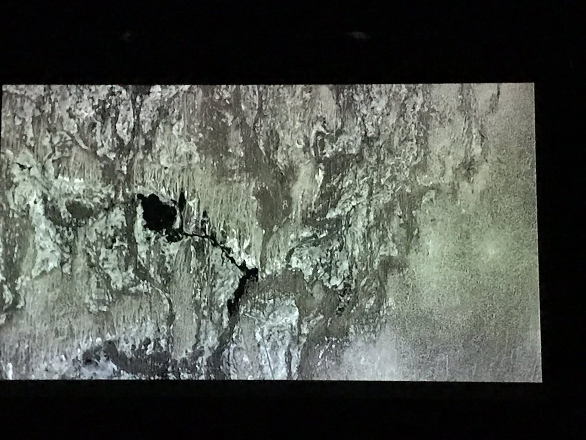 hkoenitz's tweet photo. #elo17 #elo2017 great film from @scottrettberg &amp; Roderick Coover  featuring a remote island, a drone pilot, an ornithologist and a goddess https://t.co/WR7IhvIeKR