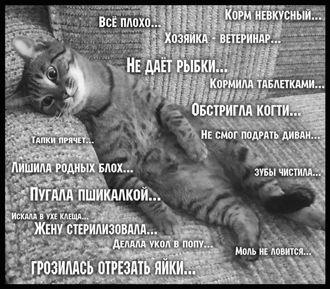 😂😂😂 Ну и конечно - #читаювзаимно