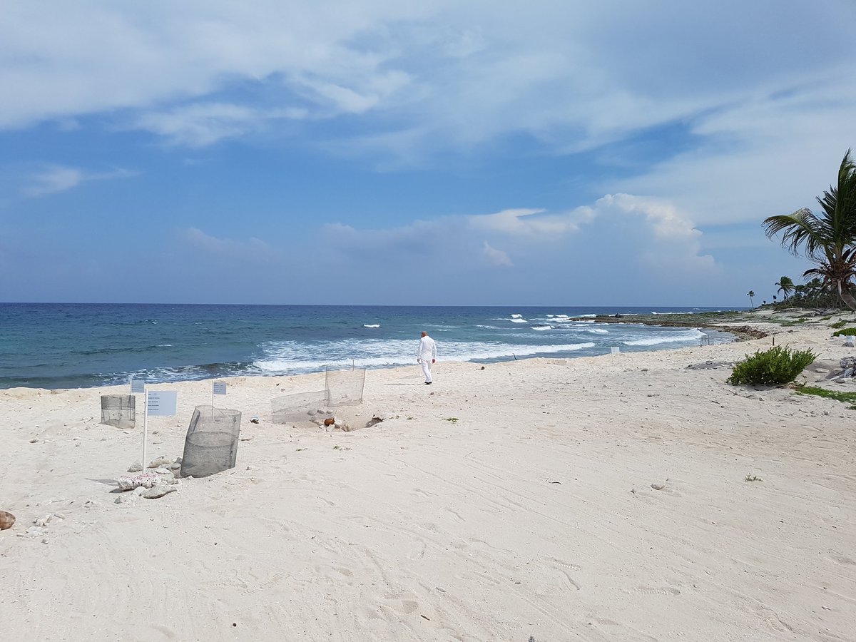 Having a well deserved holiday in Mexico.