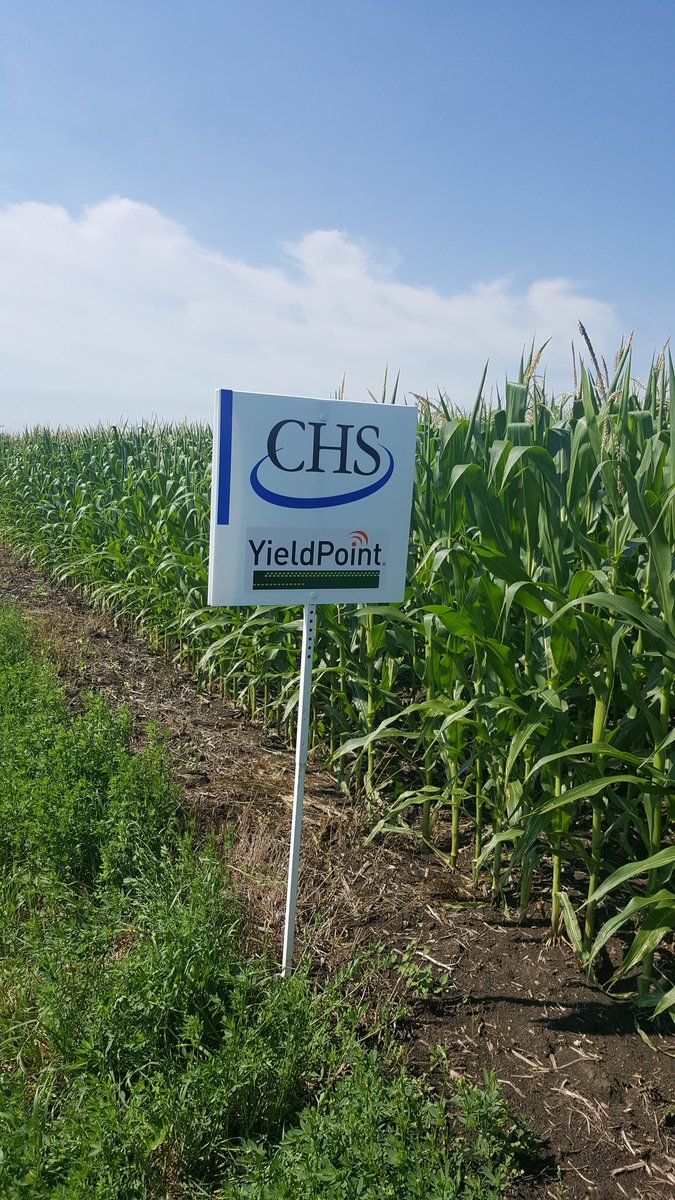 JerryRBeck's tweet photo. Signing Saturdays! Our Co'op our brands #YieldPoint #Allegiantseed Own it!!! 👍👍 https://t.co/1ObsgYhVEA