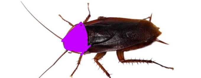 @justlyssten https://t.co/Y7xBmETFMQ<a class="tags" target="_blank" title="On Twitter" href="/?out=eyJ0eXAiOiJKV1QiLCJhbGciOiJIUzUxMiJ9.eyJpYXQiOjE3MjYzNDQ1NzgsImlzcyI6InR3cG9ybnN0YXJzLmNvbSIsIm5iZiI6MTcyNjM0NDU3OCwiZXhwIjoxNzU3ODgwNTc4LCJyZWRpcmVjdF91cmwiOiJodHRwczovL3R3aXR0ZXIuY29tL2p1c3RseXNzdGVuIn0.u3_LIc1xVblKSqS-mLXC2vb9ztNuu3xwVj5K-uXkZW0f7EFLyC7l8ngFEvhRz0CWbk-yPZmW2-UbY5Bbx4W1kg">@justlyssten</a><a href="/tag/nba2k21"class="tags"><span>#nba2k21</span></a><a href="/tag/ps5share"class="tags"><span>#ps5share</span></a>