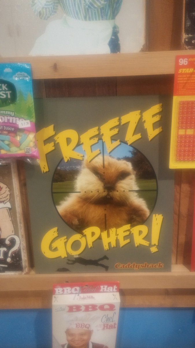 RocketFizzStLou's tweet photo. Wow it is so hot even the gopher won't freeze! Super sign Saturday here at Rocket Fizz! Show this post for 10% off sign purchases. https://t.co/lARSQ1lyGj