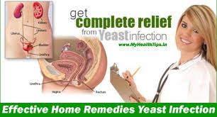 fitnees_health's tweet photo. Candida Crusher - #permanent #Yeast #Infection #solution, check this out https://t.co/g7KQn12twk https://t.co/G7ZLy1RsXw
