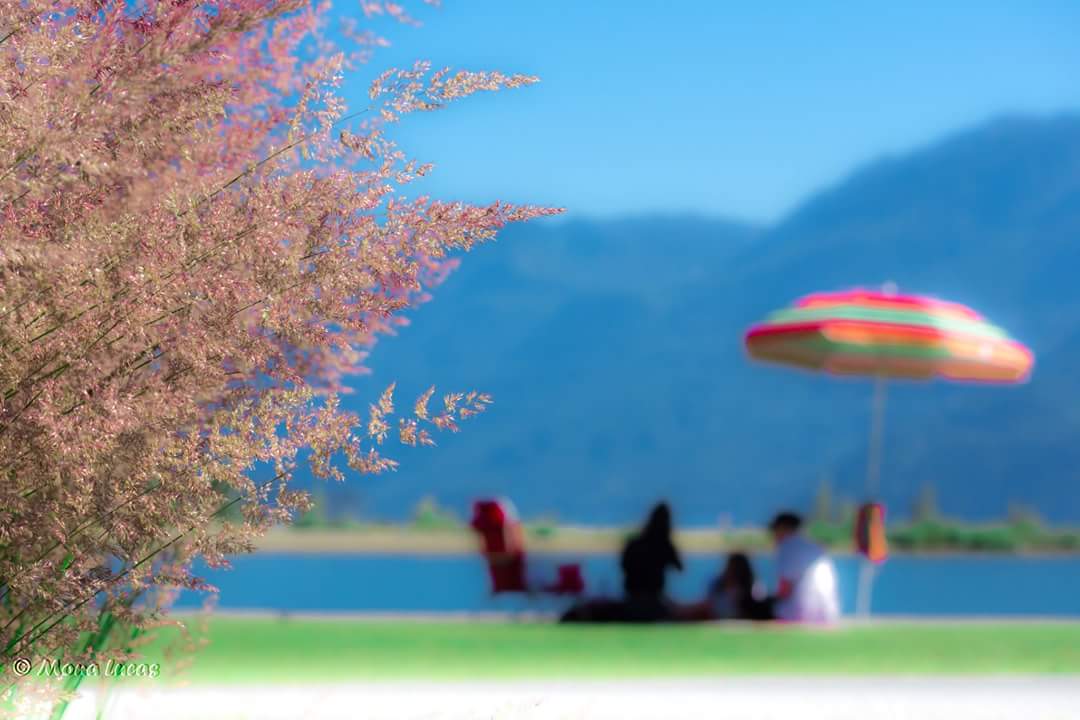 MonaLucas_Photo's tweet photo. #Summer in #Harrson.
How are YOU spending your wknd?
@harrisontourism @HarrisonResort @Scenic7BC #explorebc @enterherecanada @canadascope https://t.co/ADeM5sFXE8