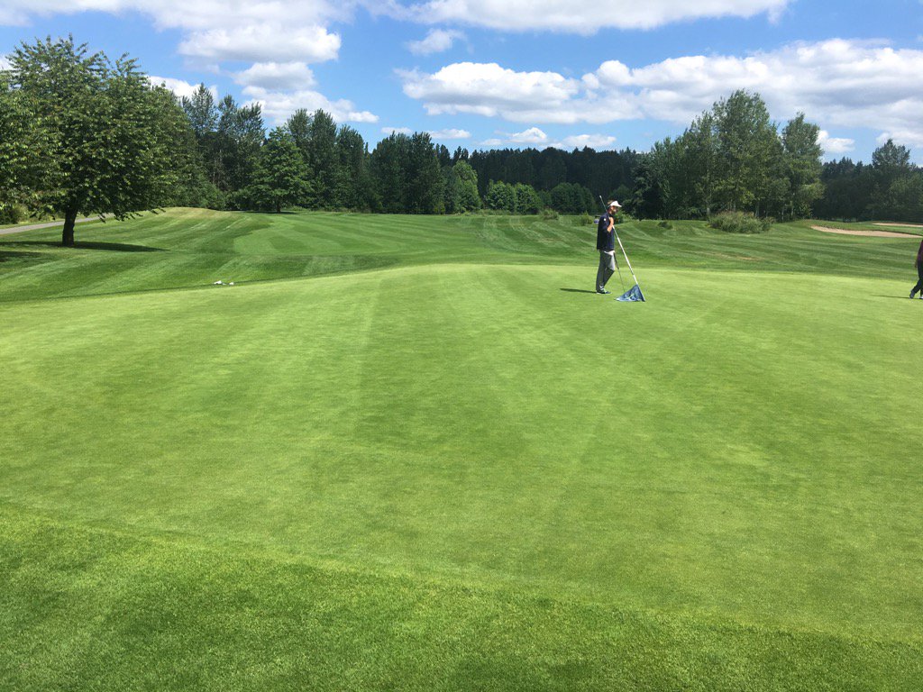RS_turf's tweet photo. Sun just came out and everything looks 100x better. #willowsrun https://t.co/dTJezWm8HN