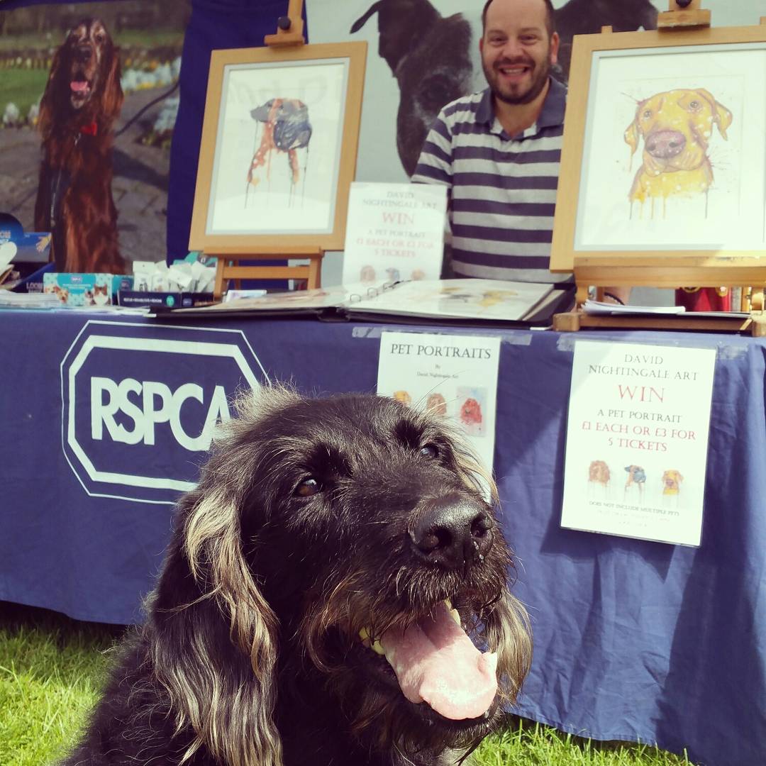 DNightingaleart's tweet photo. Fantastic day helping raise funds for Rspca Halifax Hudds at Hebden Happy Hounds 
#hebdenbridge Hebden Bridge #davidnightingaleart https://t.co/ijcQbZYr9M