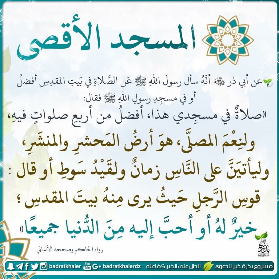 Hamodi31674540's tweet photo. @Hno814 https://t.co/VdA8EAV7Ex