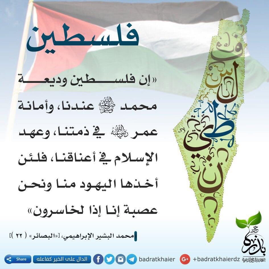 Hamodi31674540's tweet photo. @hmada_8888888 https://t.co/W2s5VcHklf