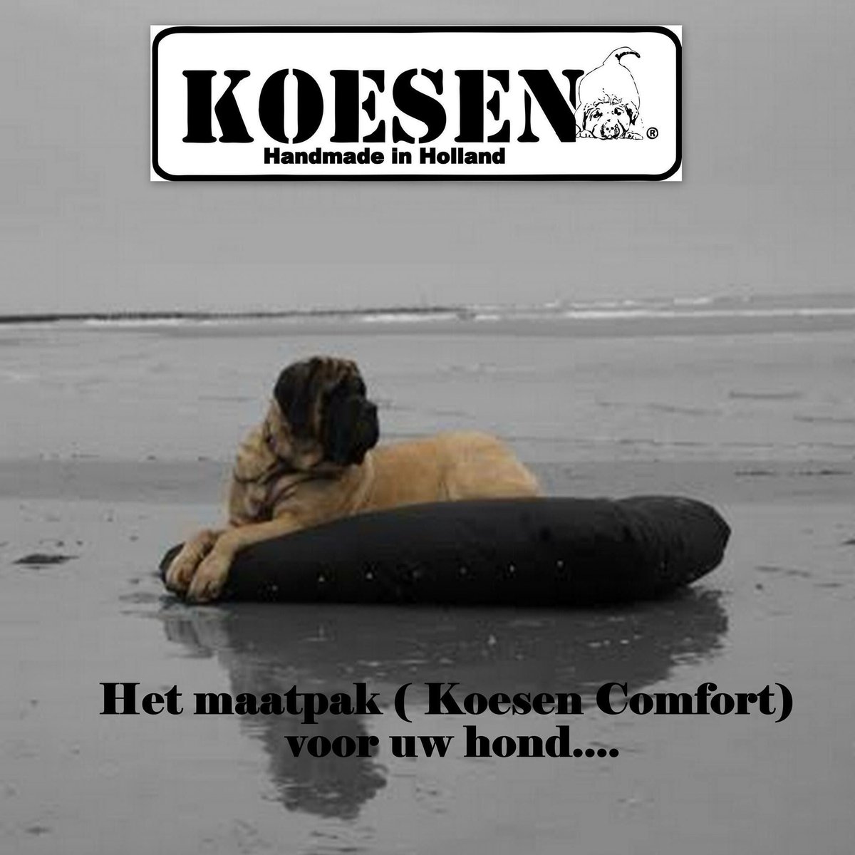 Gps halsband #nu 99 euro#bij 900 likes geven we 1 weg#facebook#koesen-trends