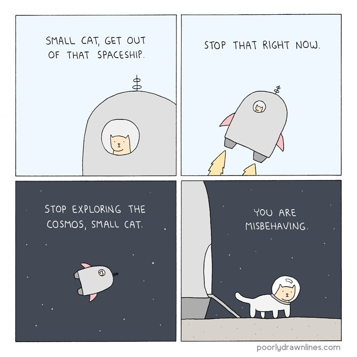 bad small cat https://t.co/dUxPQx6aeu 