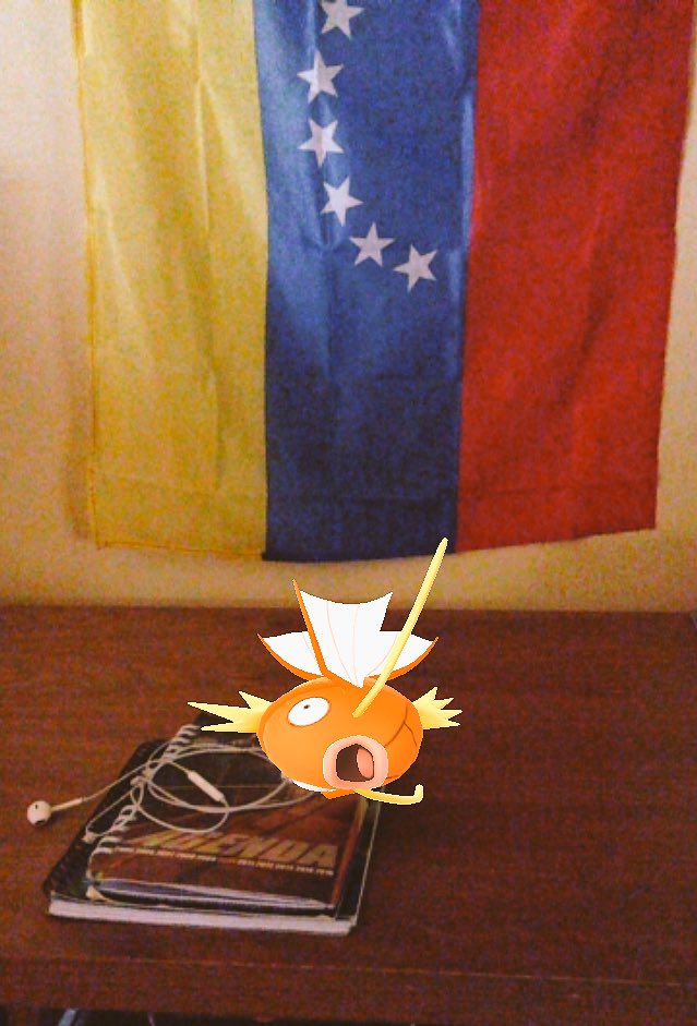 RauLLLZone's tweet photo. Hoy apareció este pecesito en mi cuarto #PokemonGOFest 😁 https://t.co/W23ZweHvkp