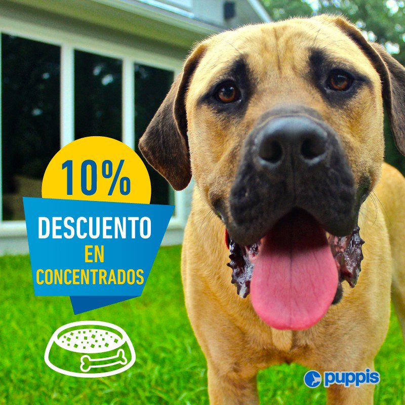puppiscol's tweet photo. Hoy no se que pedir para comer, ¡hay muchas opciones y no se cual escoger!, muchos muchos descuentos en concentrados #AmigosPuppis #PetStore https://t.co/fm569gQXbB
