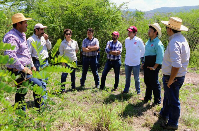 Ver imagen en Twitter