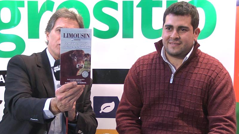 TV  <a href="/LimousinARG/">Limousin Argentina</a> la raza carnicera que eligen los productores Millennials; con Juan P. Lattanti @Juan22murg <a href="/MVLagos/">𝘔𝘢. 𝘝𝘪𝘳𝘨𝘪𝘯𝘪𝘢 𝘓𝘢𝘨𝘰𝘴</a> bit.ly/2gT0PMJ